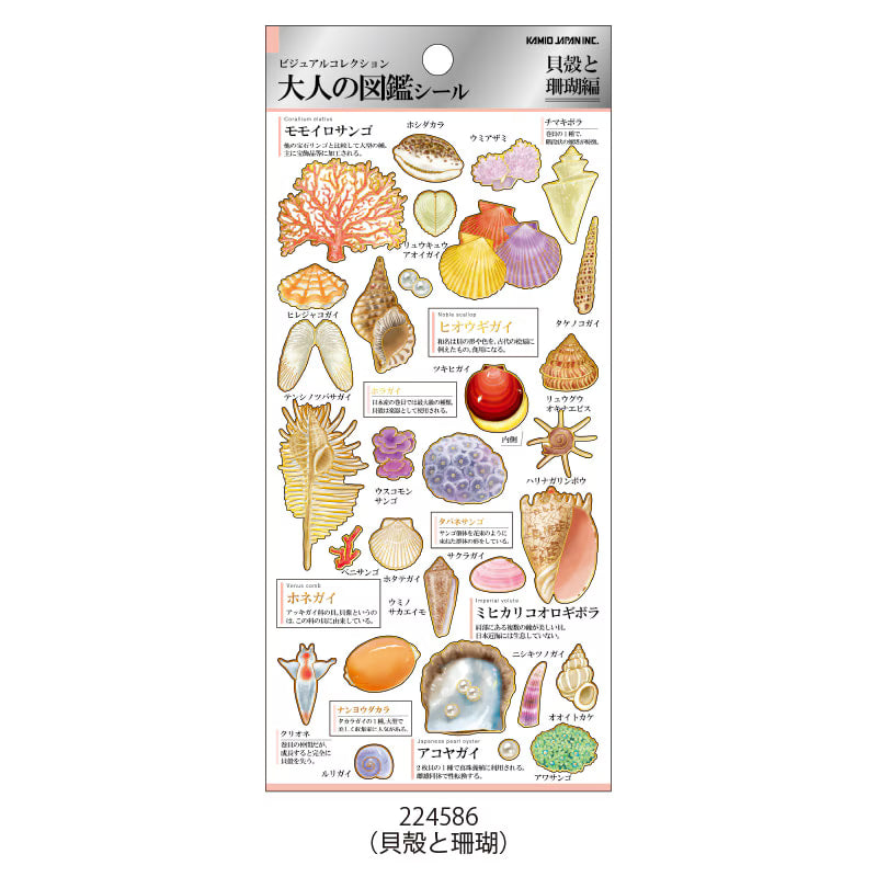 Kamio Adult Illustrated Picture Book Stickers - Shells and Corals