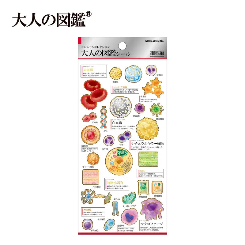 Kamio Adult Illustrated Picture Book Stickers - Cells