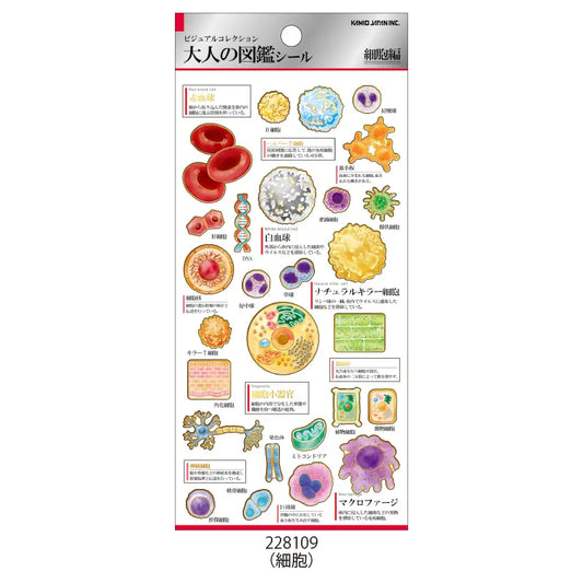 Kamio Adult Illustrated Picture Book Stickers - Cells