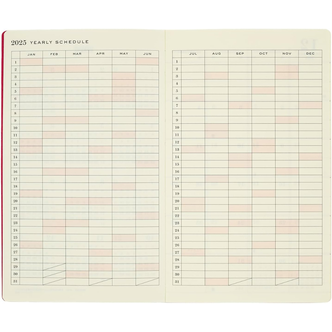 Paris-style Illustration 2025 Planner Schedule Book B6