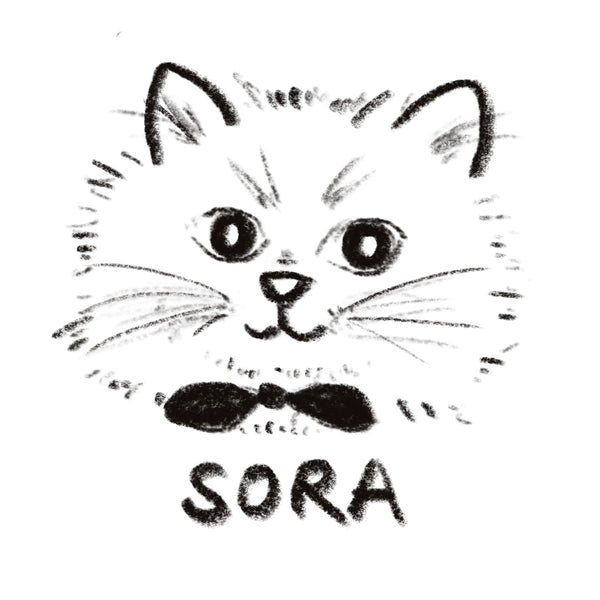 Sora Stationery