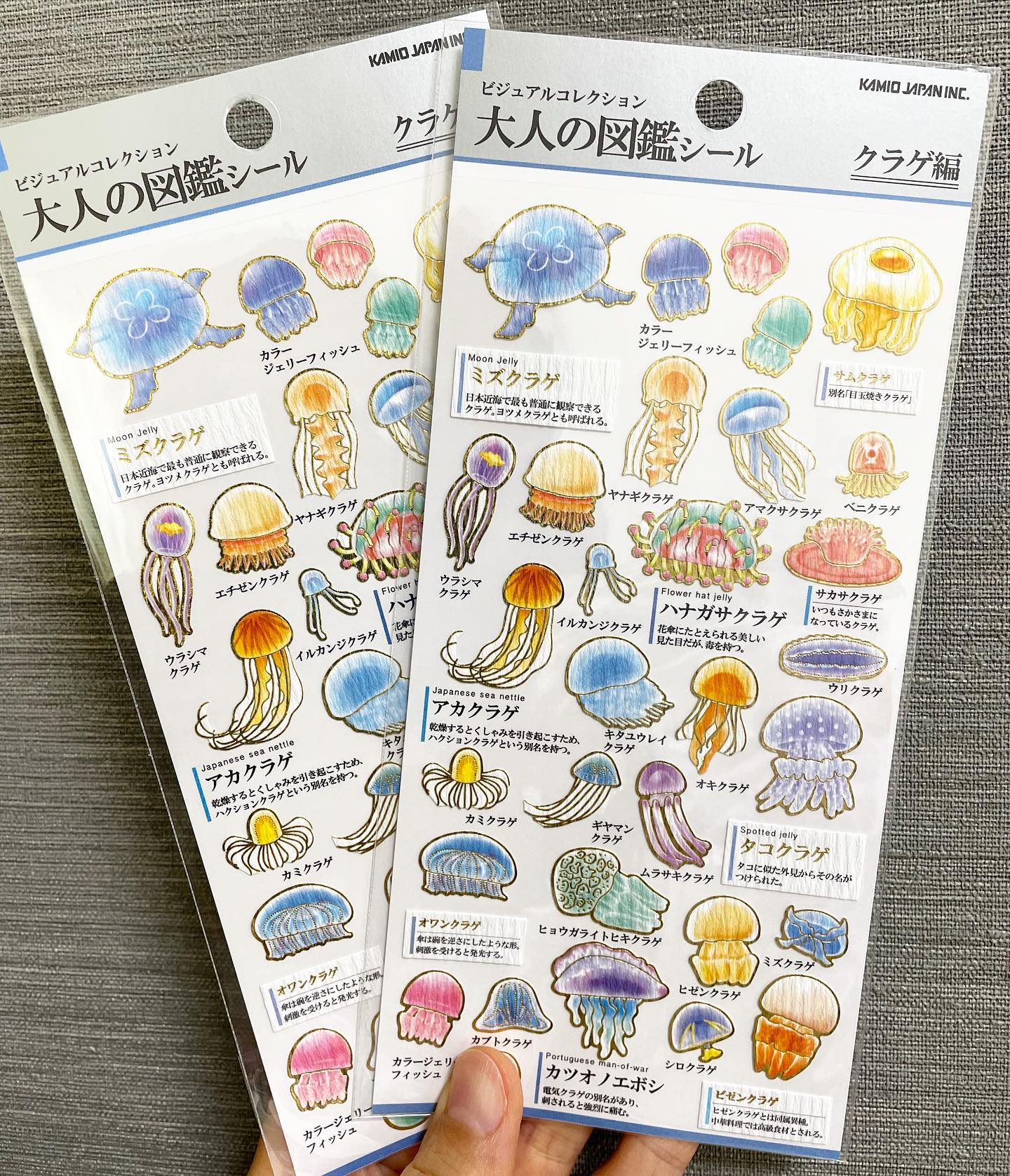 Kamio Picture Dictionary Stickers – Jellyfish Edition | Adult Illustrated Picture Book Series