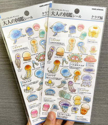 Kamio Picture Dictionary Stickers – Jellyfish Edition | Adult Illustrated Picture Book Series