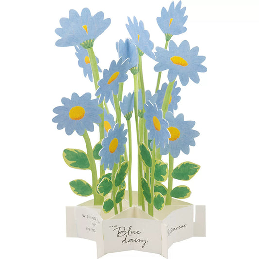 3D Floral blooming Blue Daisy Pop Up Birthday Card | Blue Daisy