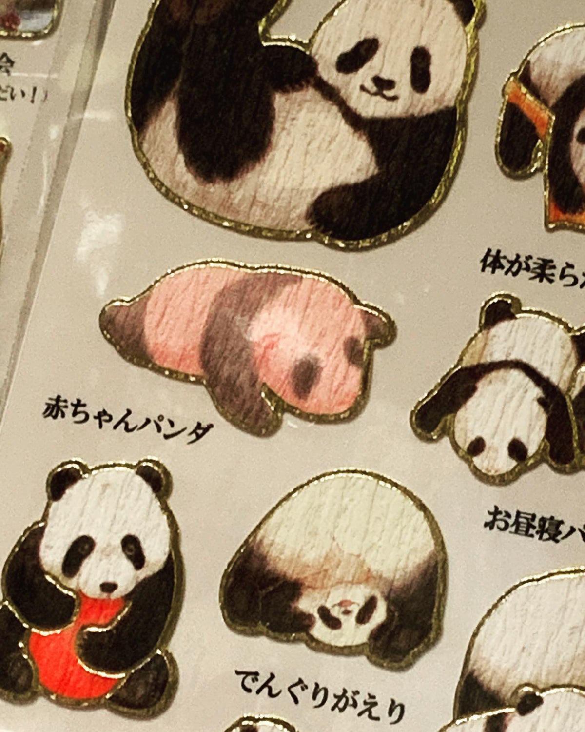 Kamio Adult Illustrated Picture Book Stickers – Panda | Japanese Gold Foil Stickers