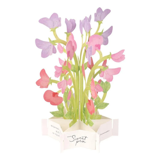 3D Floral blooming Pop Up Greeting Card | Sweet Pea