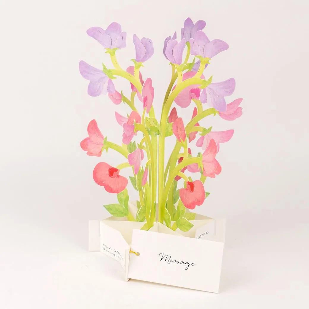 3D Floral blooming Pop Up Greeting Card | Sweet Pea