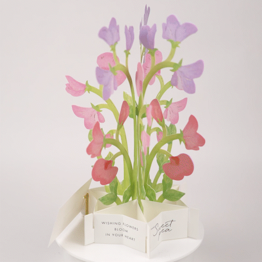 3D Floral blooming Pop Up Greeting Card | Sweet Pea