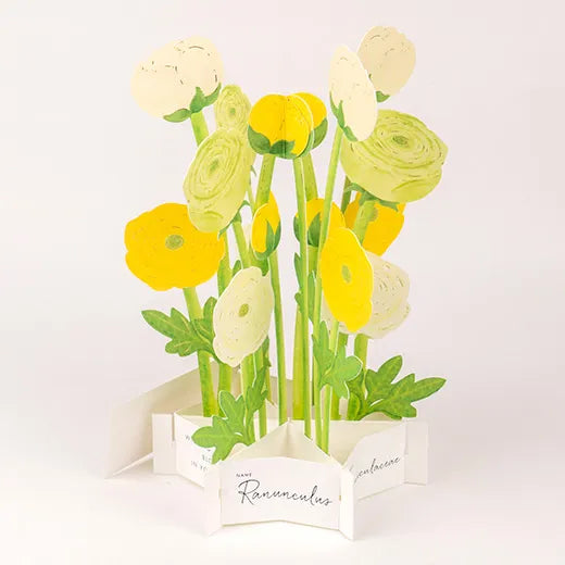 Japan 3D Flower bouquet pop up greeting card | Yellow Ranunculus