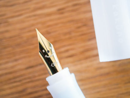Pilot Kakuno Fountain Pen Madoromi Color Series