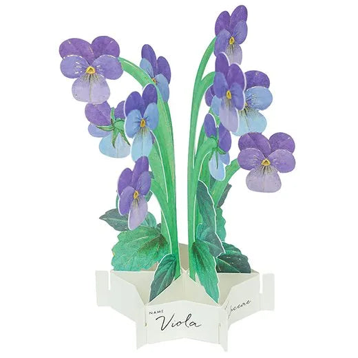 3D Floral blooming Pop Up Greeting Card | Viola